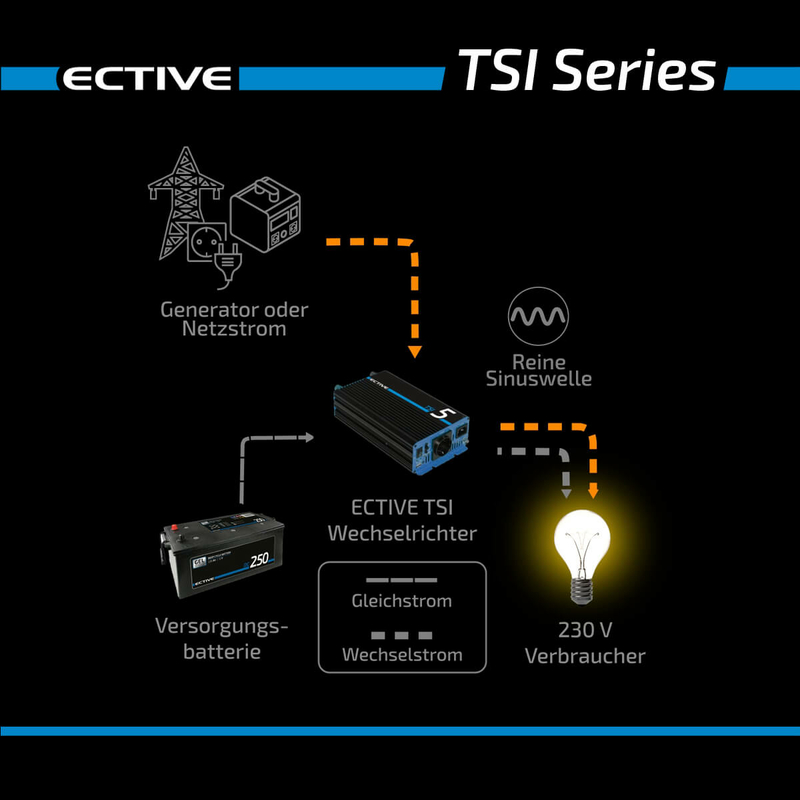 Ective TSI252 Sinus-Inverter 2500W/12V Sinus-Wechselrichter mit NVS -  digitec