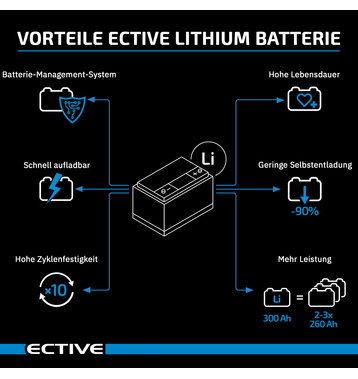 ECTIVE LC 12L 12V LiFePO4 Lithium Versorgungsbatterie 12Ah (USt-befreit nach 12 Abs.3 Nr. 1 S.1 UStG)
