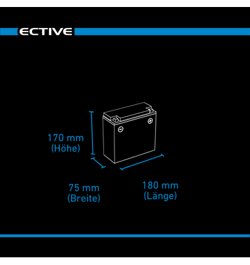 ECTIVE LC 20L BT 12V LiFePO4 Lithium Versorgungsbatterie 20 Ah (USt-befreit nach 12 Abs.3 Nr. 1 S.1 UStG)