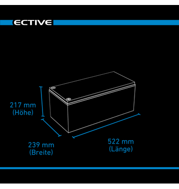 ECTIVE DC 230S AGM Deep Cycle mit LCD-Anzeige 230Ah Versorgungsbatterie (USt-befreit nach 12 Abs.3 Nr. 1 S.1 UStG)
