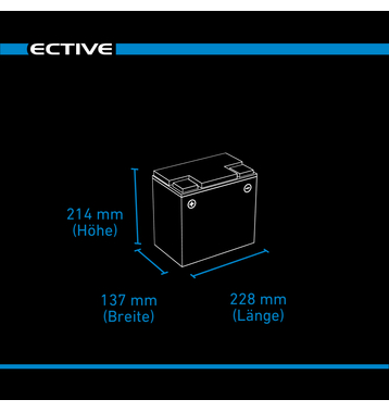 ECTIVE DC 65SC GEL Deep Cycle mit PWM-Ladegert und LCD-Anzeige 65Ah Versorgungsbatterie (USt-befreit nach 12 Abs.3 Nr. 1 S.1 UStG)